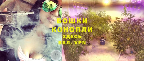 мяу мяу мука Елабуга