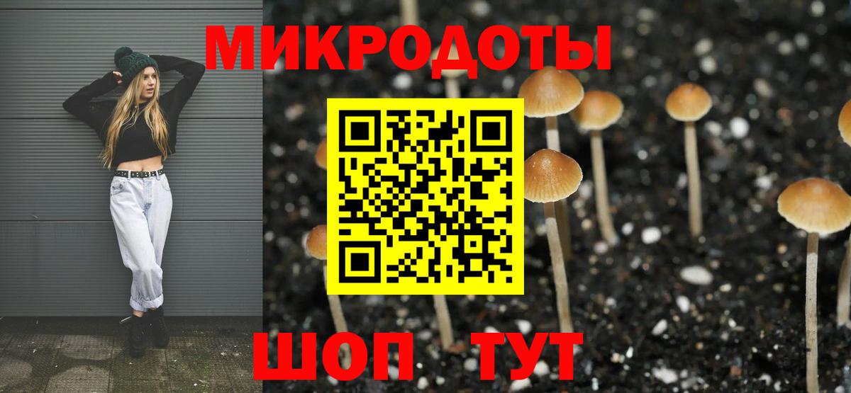 Галлюциногенные грибы Psilocybine cubensis  Краснознаменск  Псилоцибиновые грибы мицелий 