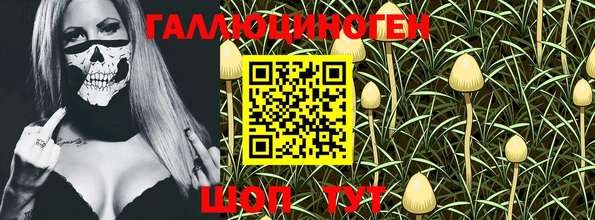 Галлюциногенные грибы мухоморы Краснознаменск