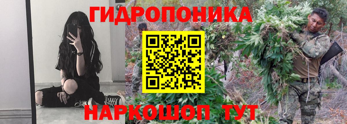 Канабис индика Краснознаменск